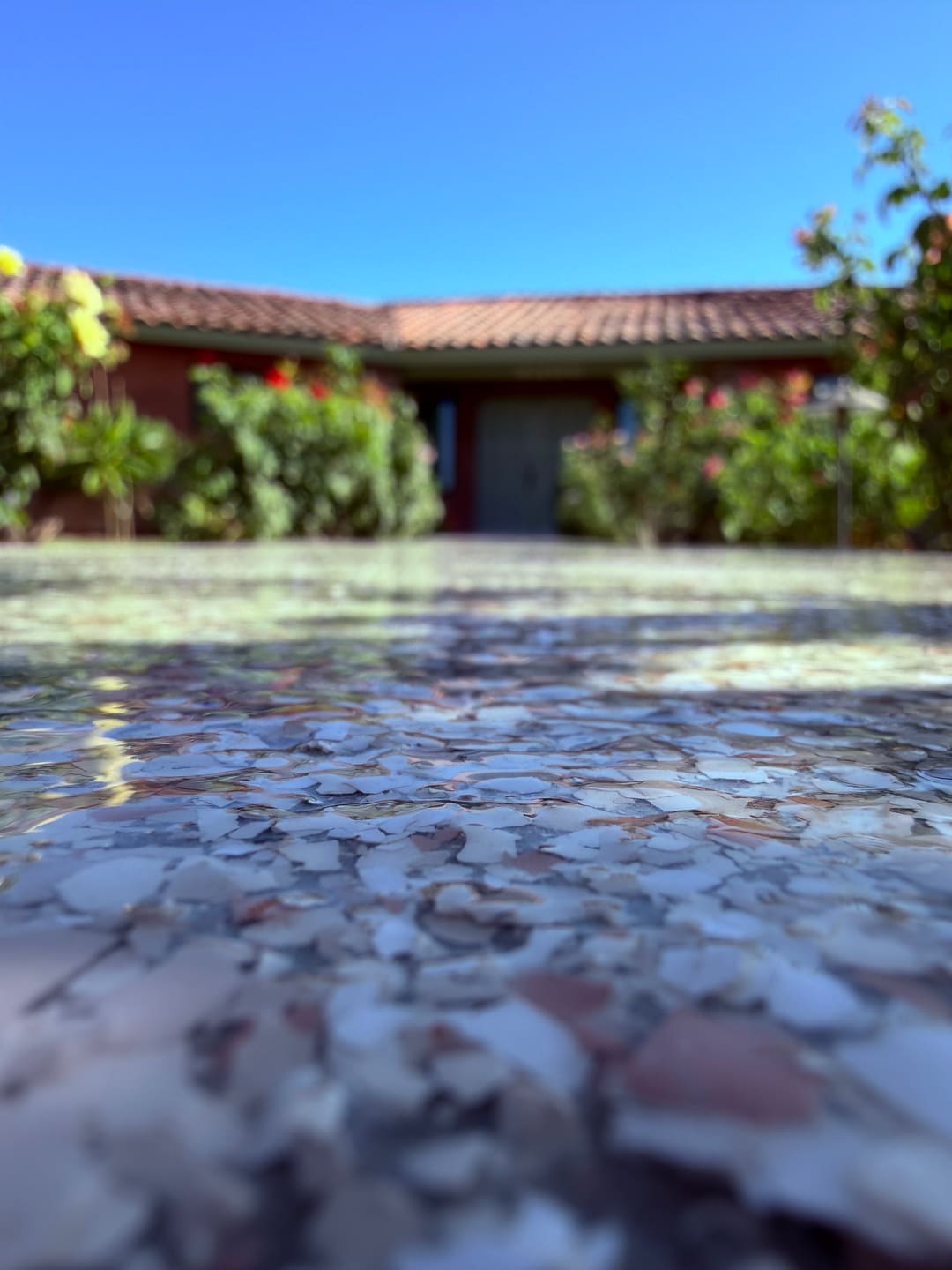 A low angle across a flake epoxy driveway, the chips sharp in the foreground and the house soft behind